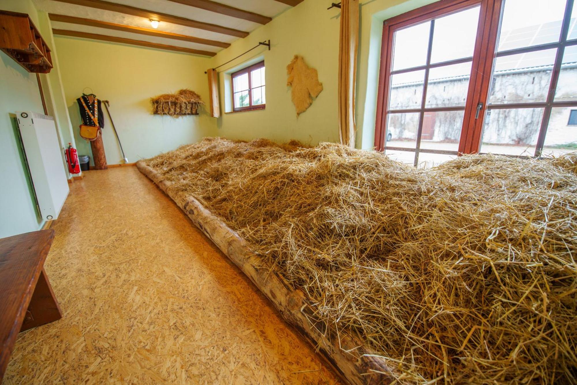 Scheunenherberge Unterspreewald エクステリア 写真